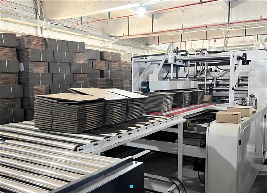 造纸及纸制品多重元素催化瓦楞纸箱市场